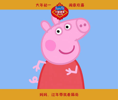 得克萨斯理工大学ComputerScienceDiploma
